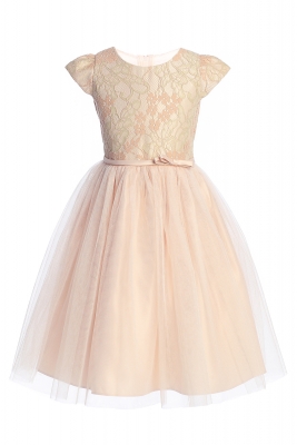 Blush Floral Lace Dress with Crystal Tulle